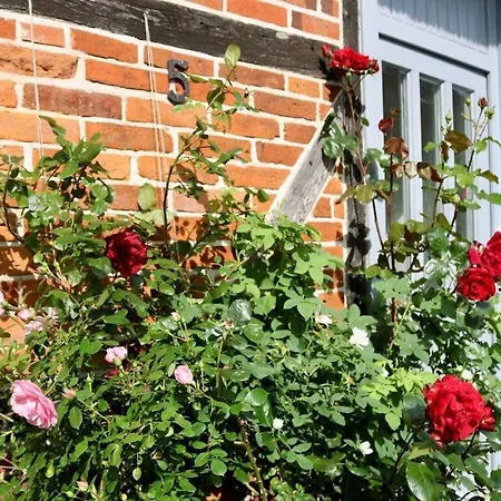 Kate Keit Apartman Altenhof